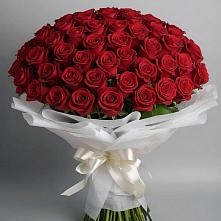Букет 101 Красная роза Блэк Мэджик в Рождественской Ставропольский край