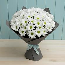 Букет цветов из:  Хризантемы в Рождественской Ставропольский край