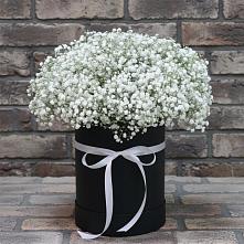 Цветочная композиция из Гипсофила в шляпной коробке в Рождественской Ставропольский край
