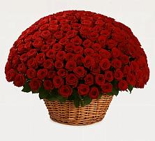 Премиум букет из: Розы в Рождественской Ставропольский край